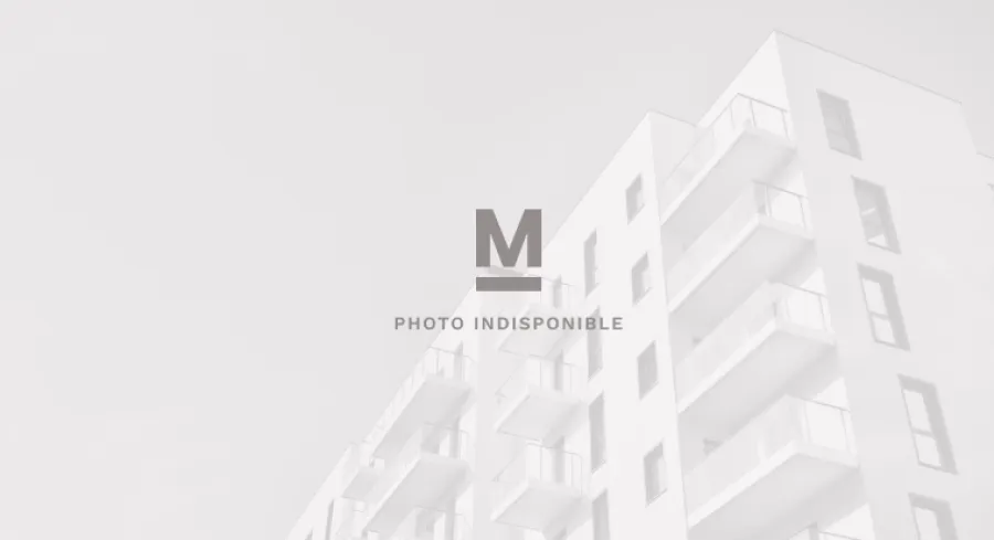 T3 de 61,32 m² à Belleville-en-Beaujolais