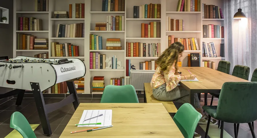 Joli Studio à Lyon 9 : revenus immédiats