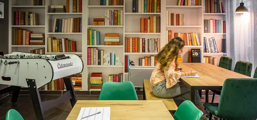 Joli Studio à Lyon 9 : revenus immédiats